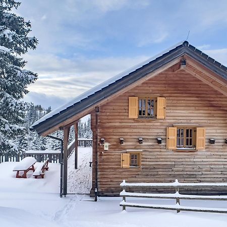 1A Chalet Koralpenzauber -Ski Fahren, Sauna Und Traumblick Villa Wolfsberg Dış mekan fotoğraf